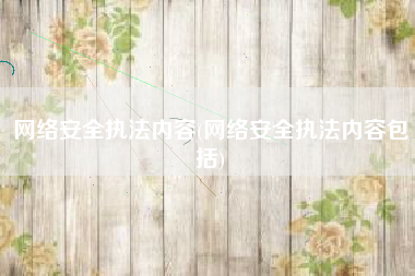 网络安全执法内容(网络安全执法内容包括)