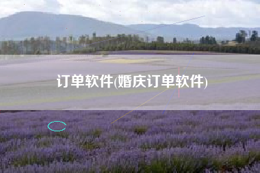 订单软件(婚庆订单软件)