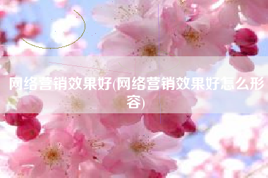 网络营销效果好(网络营销效果好怎么形容)