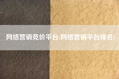 网络营销竞价平台(网络营销平台排名)