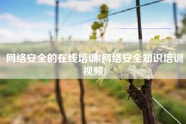 网络安全的在线培训(网络安全知识培训视频)
