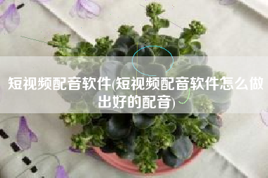 短视频配音软件(短视频配音软件怎么做出好的配音)