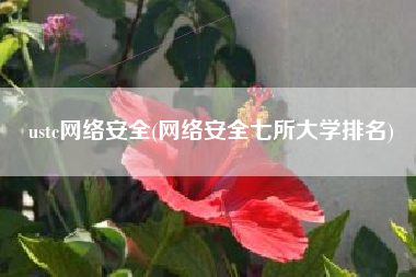 ustc网络安全(网络安全七所大学排名)