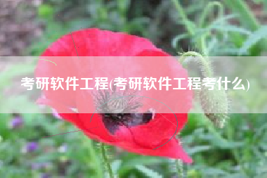 考研软件工程(考研软件工程考什么)