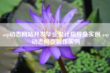 asp动态网站开发毕业设计指导及实例 asp动态网页制作实例