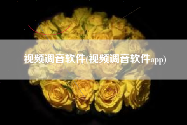 视频调音软件(视频调音软件app)