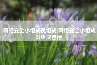 网络安全小组成员组成(网络安全小组成员组成包括)