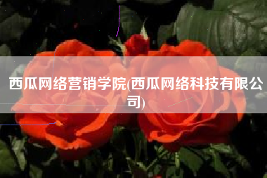 西瓜网络营销学院(西瓜网络科技有限公司)