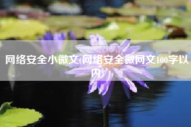 网络安全小微文(网络安全微网文100字以内)