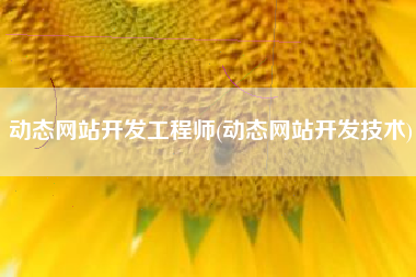动态网站开发工程师(动态网站开发技术)