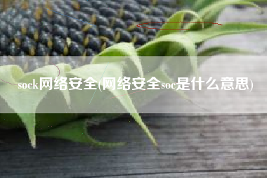 sock网络安全(网络安全soc是什么意思)