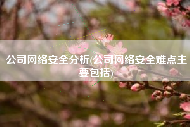 公司网络安全分析(公司网络安全难点主要包括)