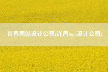 许昌网站设计公司(许昌logo设计公司)