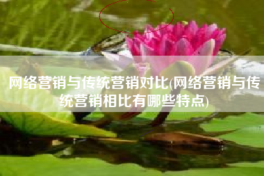 网络营销与传统营销对比(网络营销与传统营销相比有哪些特点)