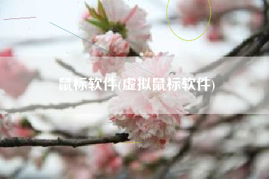 鼠标软件(虚拟鼠标软件)