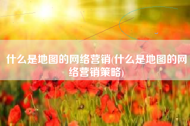 什么是地图的网络营销(什么是地图的网络营销策略)