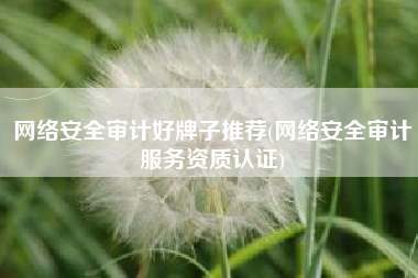 网络安全审计好牌子推荐(网络安全审计服务资质认证)