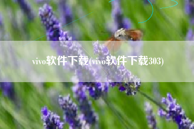 vivo软件下载(vivo软件下载303)