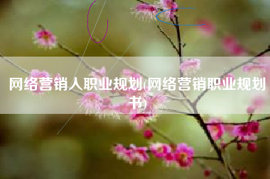 网络营销人职业规划(网络营销职业规划书)