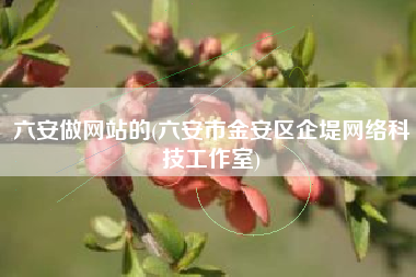 六安做网站的(六安市金安区企堤网络科技工作室)