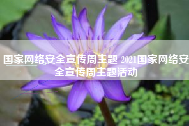 国家网络安全宣传周主题 2021国家网络安全宣传周主题活动