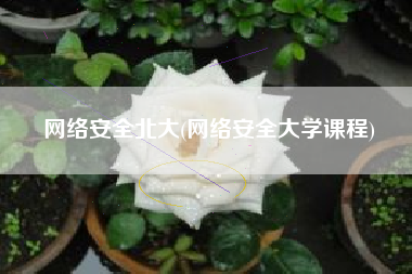 网络安全北大(网络安全大学课程)