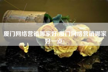 厦门网络营销哪家好(厦门网络营销哪家好一点)