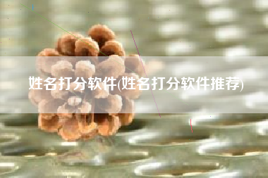 姓名打分软件(姓名打分软件推荐)