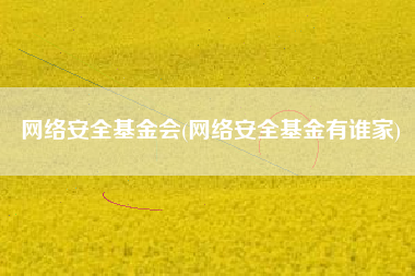 网络安全基金会(网络安全基金有谁家)