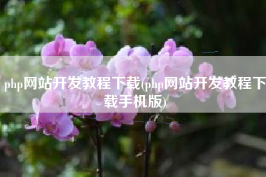 php网站开发教程下载(php网站开发教程下载手机版)