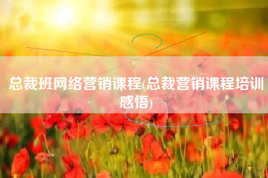 总裁班网络营销课程(总裁营销课程培训感悟)