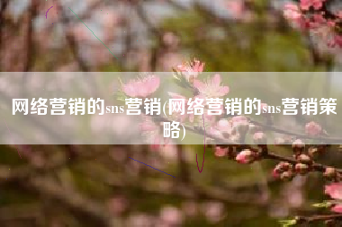 网络营销的sns营销(网络营销的sns营销策略)