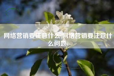 网络营销要注意什么(网络营销要注意什么问题)