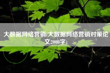 大数据网络营销(大数据网络营销对策论文2000字)