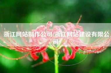 浙江网站制作公司(浙江网站建设有限公司)
