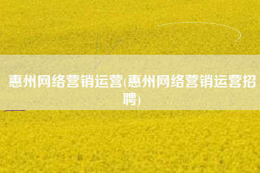 惠州网络营销运营(惠州网络营销运营招聘)