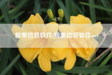 股票信息软件(股票信息软件ios)