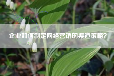 企业如何制定网络营销的渠道策略？