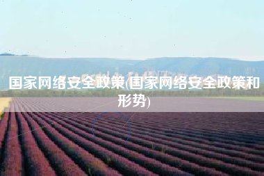 国家网络安全政策(国家网络安全政策和形势)