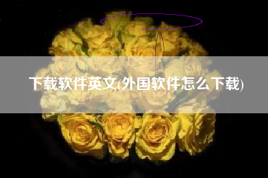 下载软件英文(外国软件怎么下载)