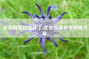 企业网络安全补丁(企业网络安全保障方案)
