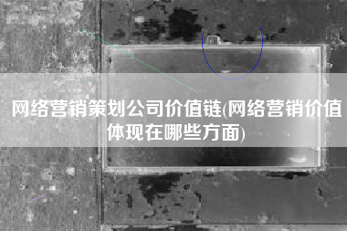 网络营销策划公司价值链(网络营销价值体现在哪些方面)