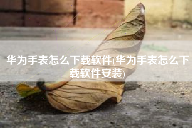 华为手表怎么下载软件(华为手表怎么下载软件安装)