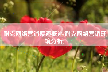 耐克网络营销渠道概述(耐克网络营销环境分析)