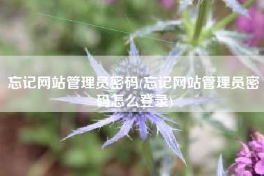忘记网站管理员密码(忘记网站管理员密码怎么登录)