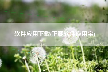 软件应用下载(下载软件应用宝)