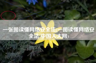 一张图读懂网络安全法(一图读懂网络安全法 中国人大网)