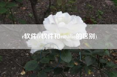 r软件(r软件和rstudio的区别)