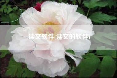 读文软件(读文的软件)