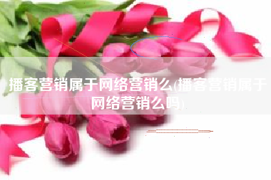 播客营销属于网络营销么(播客营销属于网络营销么吗)